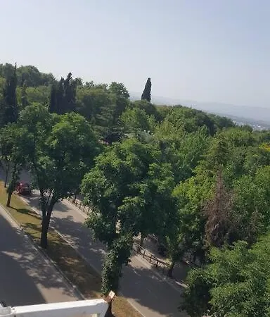 Bursa Merkez'de Caddesi Uzeri